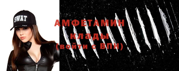 сатива Балахна