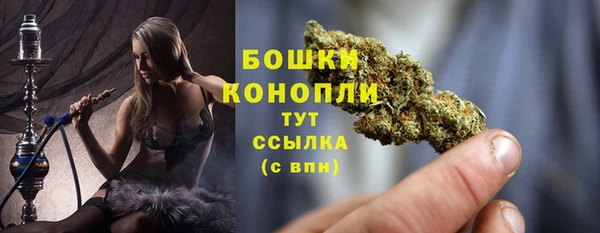 сатива Балахна