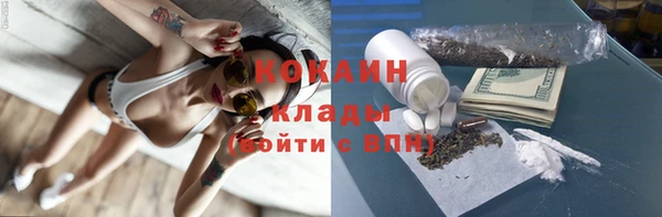 сатива Балахна