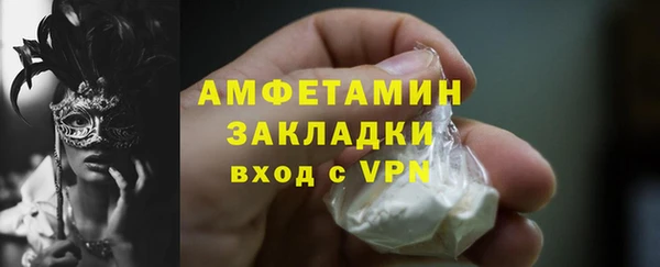 сатива Балахна