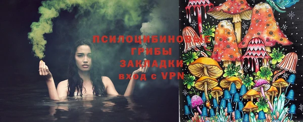 сатива Балахна