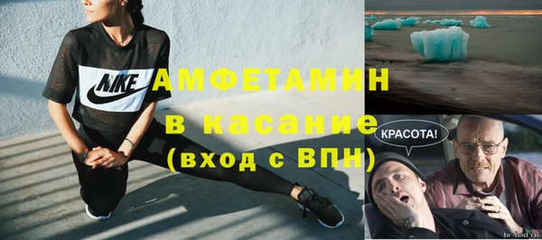 сатива Балахна